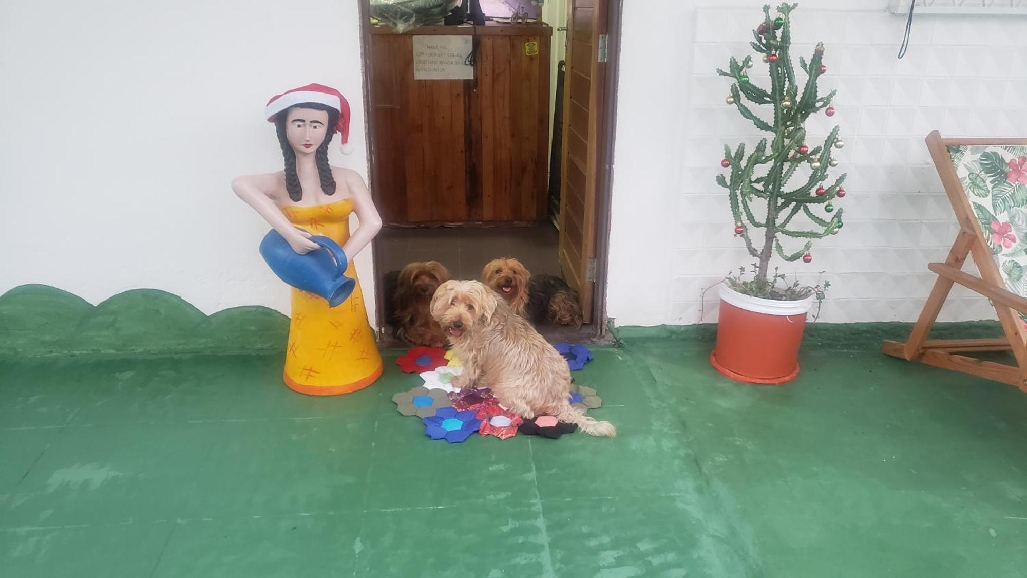 Hostel E Pousada Sol E Mar João Pessoa Zewnętrze zdjęcie